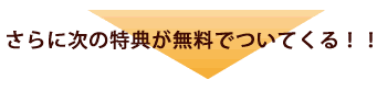 さらに次の特典が無料でついてくる！