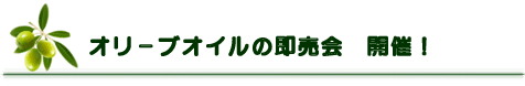 オリーブオイル即売会開始！