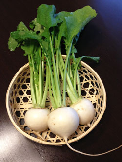 野菜の写真