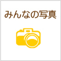 みんなの写真